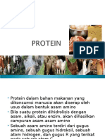 Protein 1