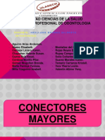 Conectores Mayores Expo PPR