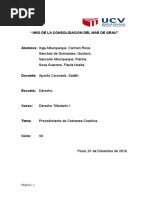 Procedimiento de Cobranza Coactiva Trabajo (2)