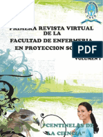 Revista Proyeccion - Social Enfermeria Uncp