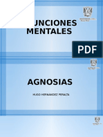 Funciones Mentales