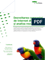 dezvoltarea-campaniei-de-internet-direct-mail-i-analiza-rezultatelor.pdf
