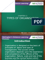 11-typesoforganization-130715081135-phpapp01.pptx