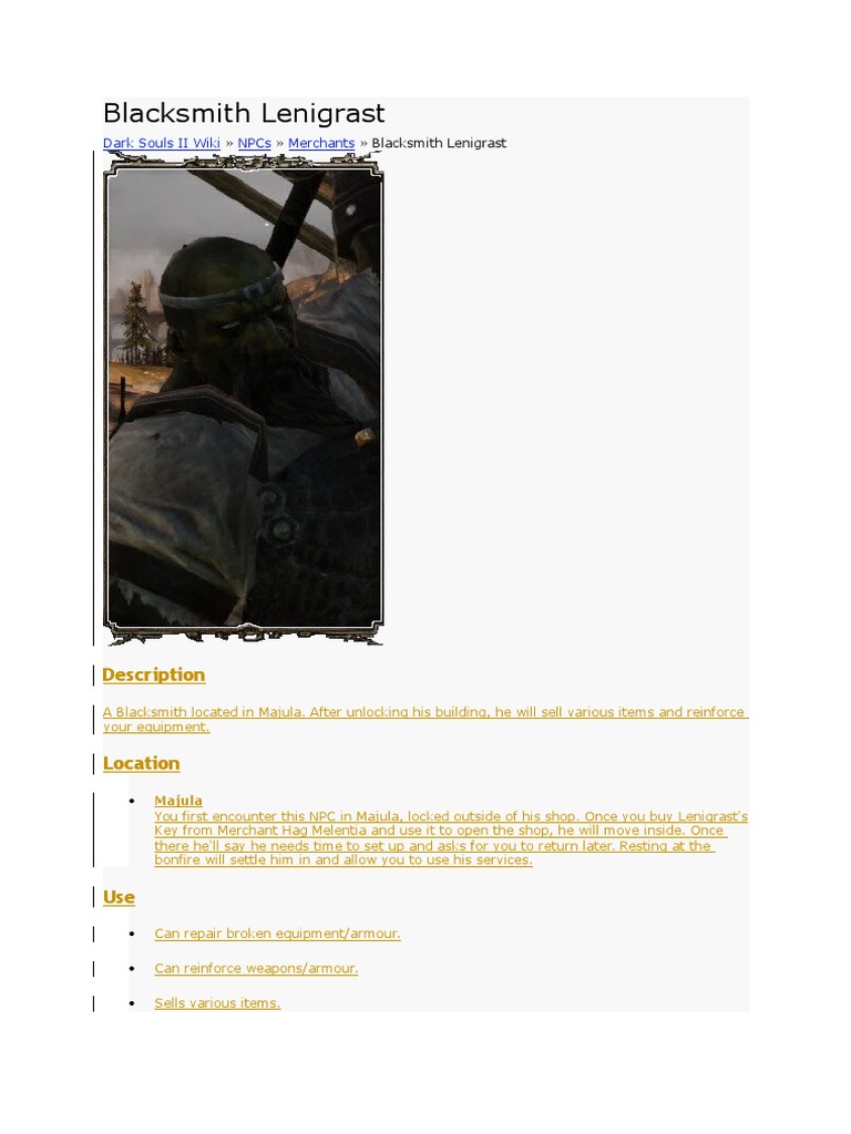Dark Souls 2 Npc Docx Shield Armour