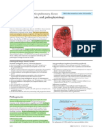 ABC of Chronic Obstructive Pulmonary Disease Pathology, Pathogenesis, And Pathophysiology