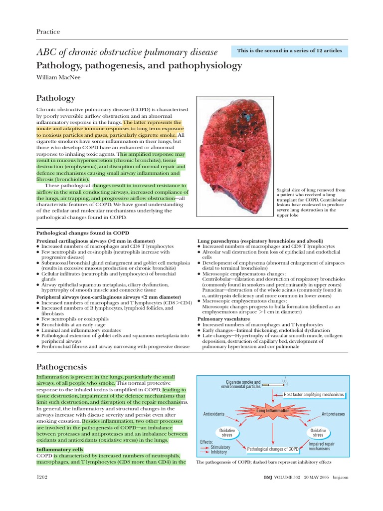 Understanding COPD: Pathology and Mechanisms | PDF | Chronic ...