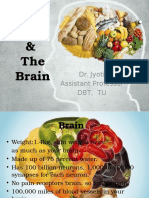 Brain Ppts