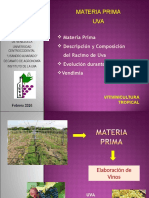 Clase Materia Prima Uva1 (1