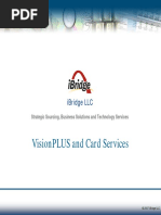 VisionPLUS Services