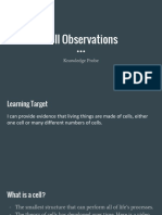 cell observations