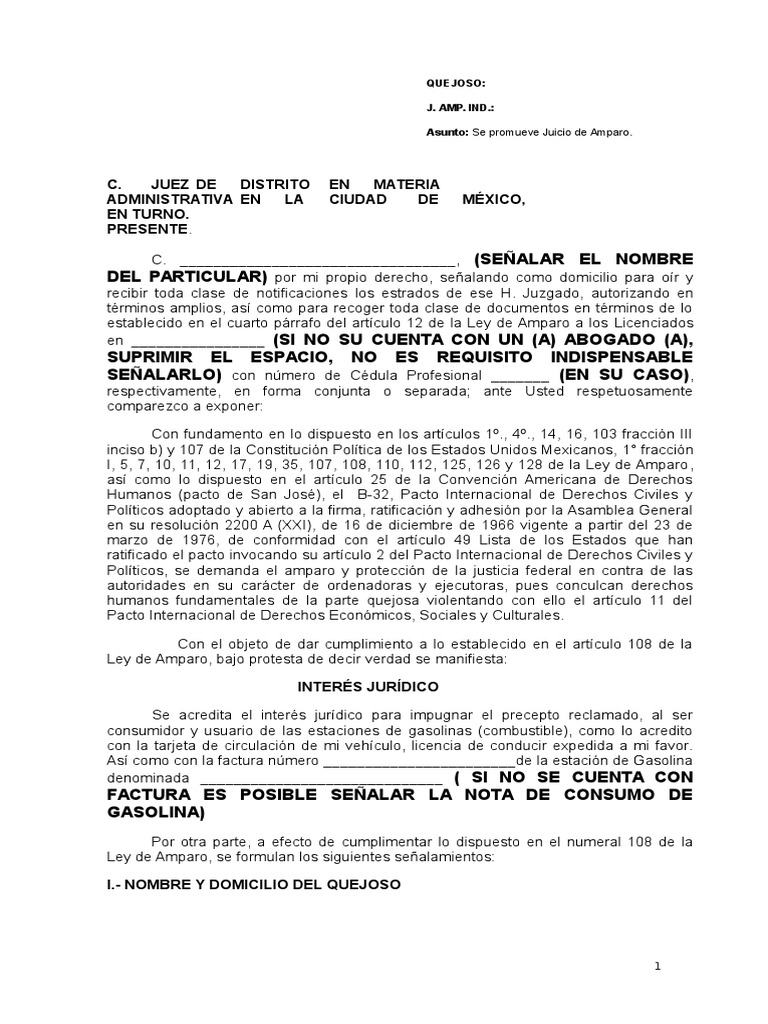 Formato de Amparo (1) | Caso de ley | Constitución