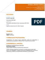 Curriculum Profesional