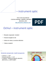 Ochiul InstrumentOptic