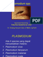 Plasmodium SPP Dr. Endang