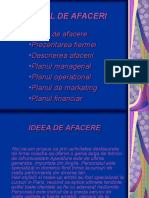 Grupa III-Plan de Afaceri