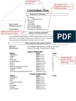 LCVP Sample CV