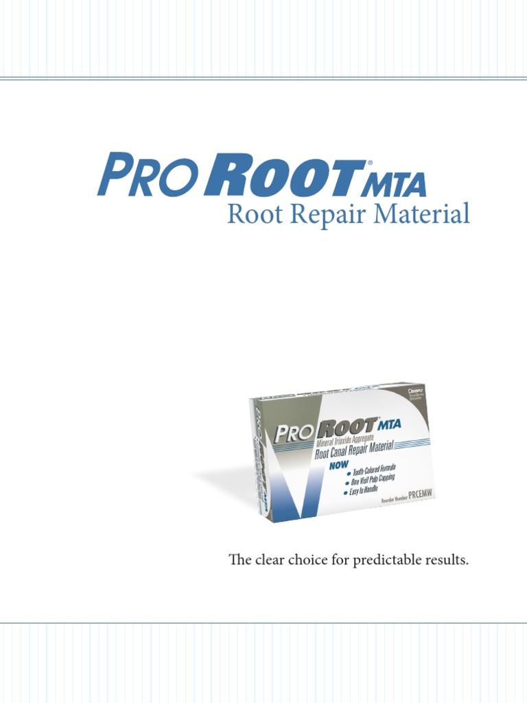 ProRoot MTA Brochure | Dental Degree | Dentistry Branches