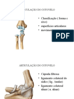 2-Articul