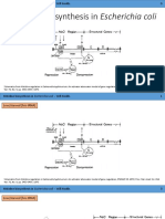 His Attenuation in E.coli PDF