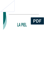 piel.pdf