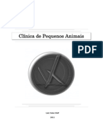 Apostila Clínica Médica PA.pdf