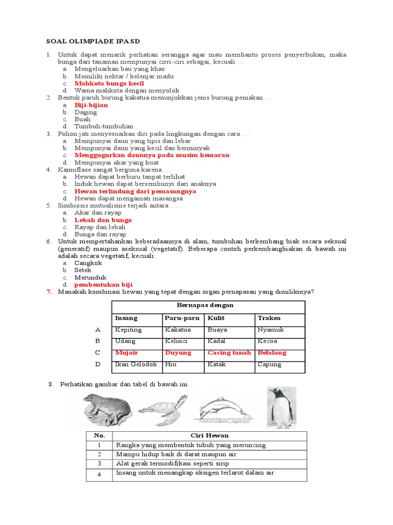 Soal Olimpiade Ipa Sd Revisi