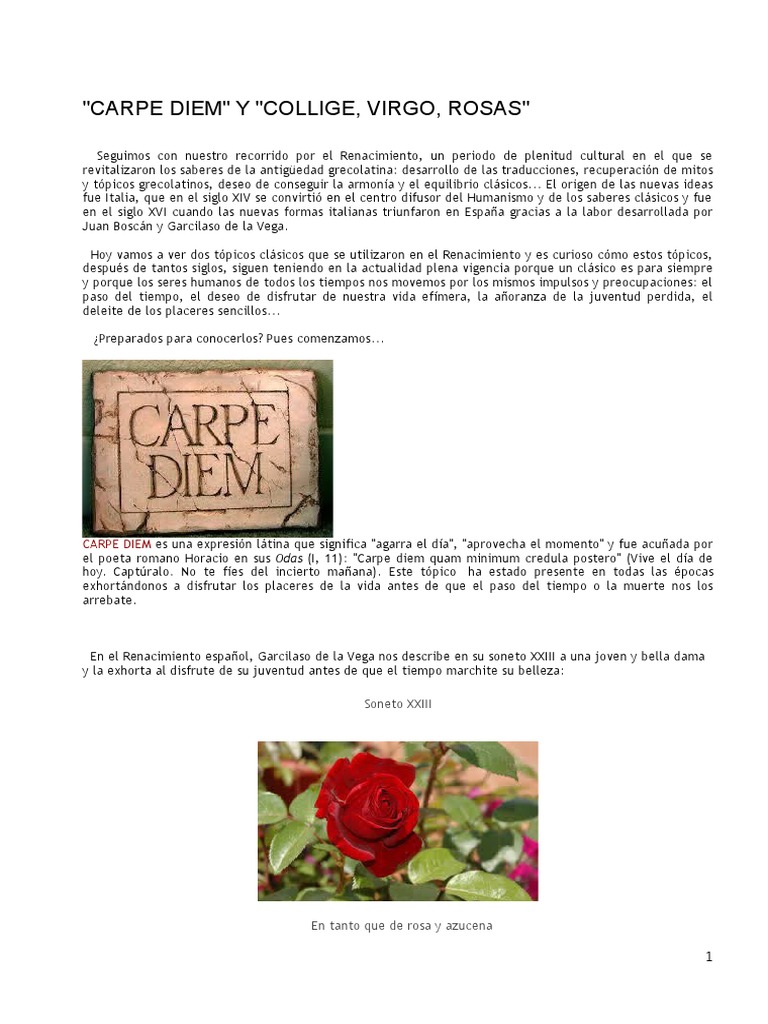 Carpe Diem y Collige Virgo Rosas | PDF | Miguel De Cervantes | Don Quijote