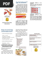 Leaflet Kolesterol
