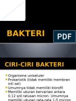 Bakteri