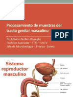 Procesamiento de Muestras Del Tracto Genital Masculino