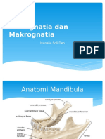 Mikrognatia Dan Makrognatia