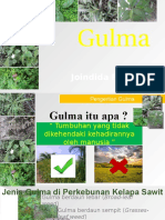 Gulma Presentasi Buru Buru