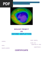 Download Ozone Depletion Biology Project by Bharat Singh SN336862448 doc pdf