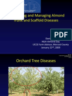 Recognizing and Managing Common Almond Trunk and Scaffold