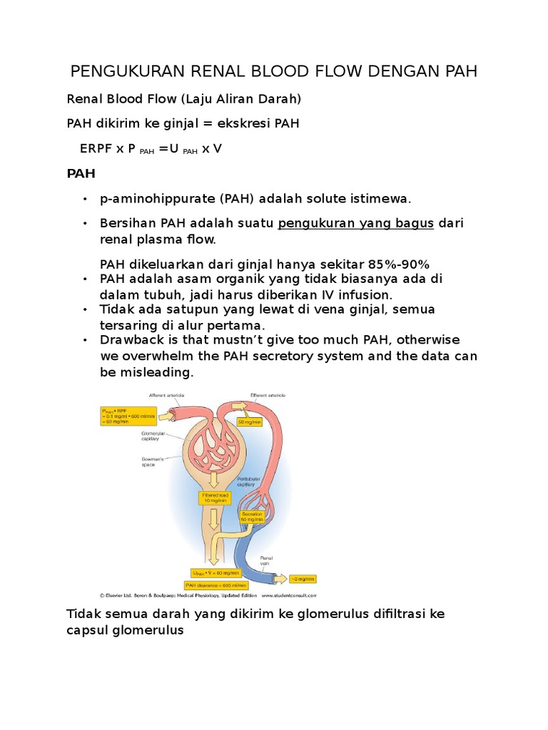Pengukuran Renal Blood Flow Dengan Pah PDF