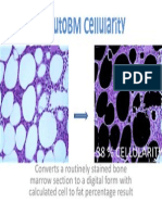 IHC AutoBM Cellularity For Web