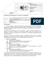 Fisiologia - Final