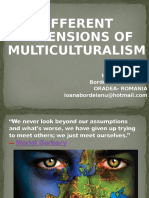 Dimensions of Multiculturalism