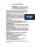 Sindicatos Y Federaciones.pdf