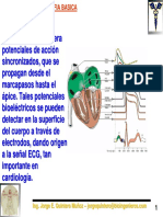 Electrocardiografia Basica