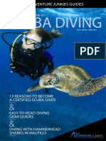 Diving Quick Starter Guide