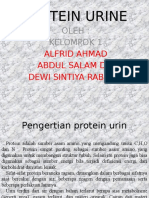 Protein Urine Kel 1