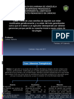 Caso - Alimentos Transgénicos