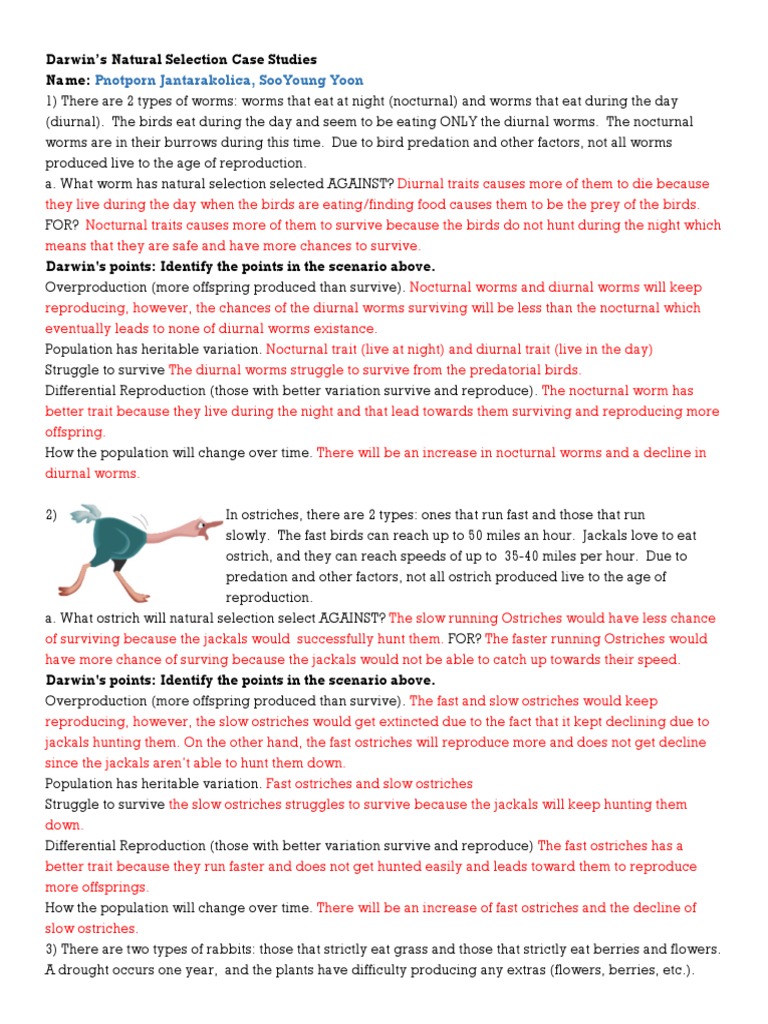 Darwin Natural Selection Worksheet - Nidecmege Within Darwin Natural Selection Worksheet