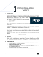 Literatura 20 Lit Peruana Quechua PDF