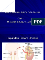 Anatomi Dan Fisiologi Ginjal 1