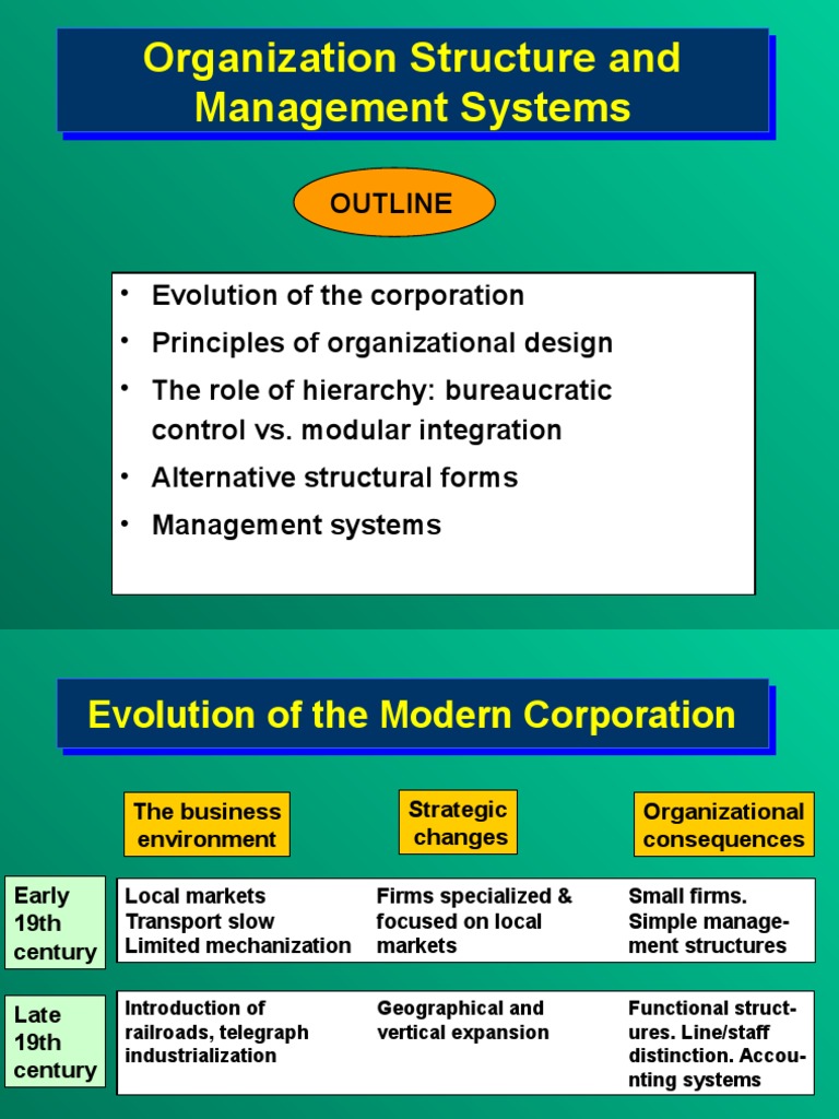 Organization Structure and Management Systems | PDF | Business