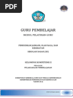 Download Modul Guru Pembelajar PJOK SD KK E by DiLa IMuett SN336978711 doc pdf