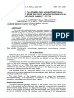 Stratigraphy Paleontology and Depositional