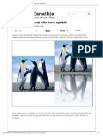 Napravite Odraz Svoje Slike Kao U Ogledalu PDF